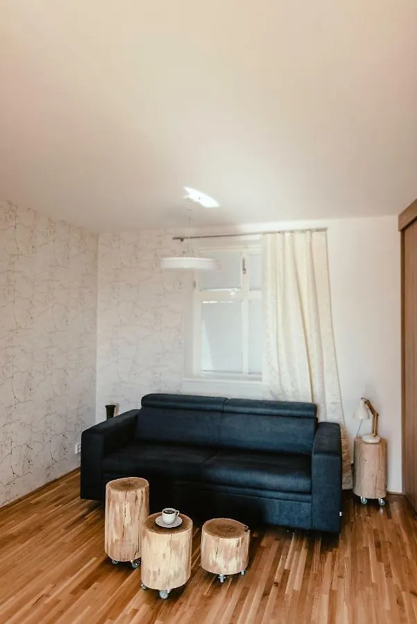 Luxury Apartments Zelny Trh 4 Brno