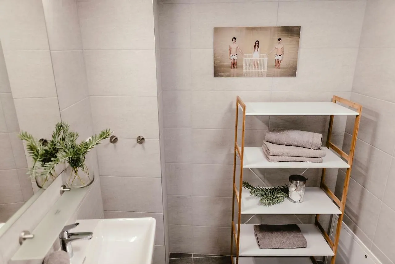 Luxury Apartments Zelny Trh 4 Brno