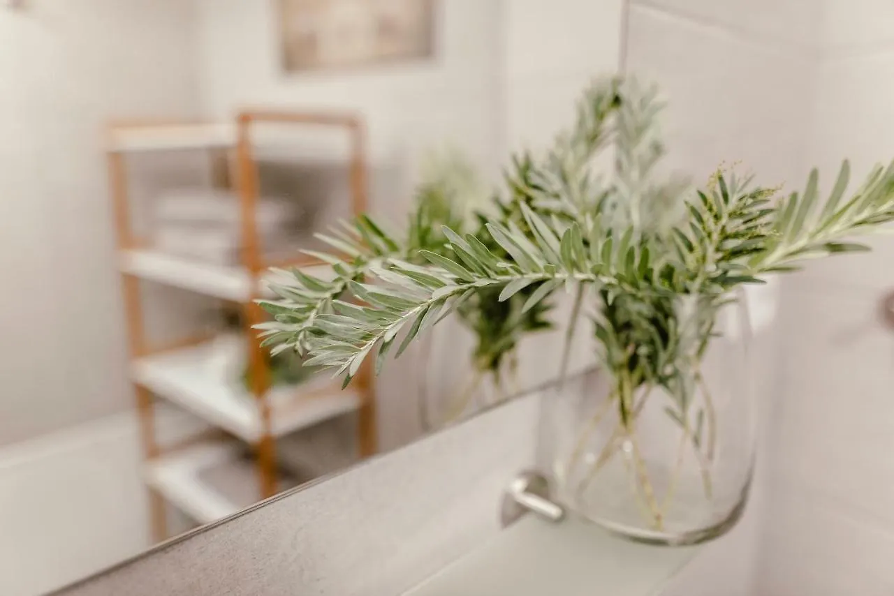 Luxury Apartments Zelny Trh 4 Brno Czech Republic